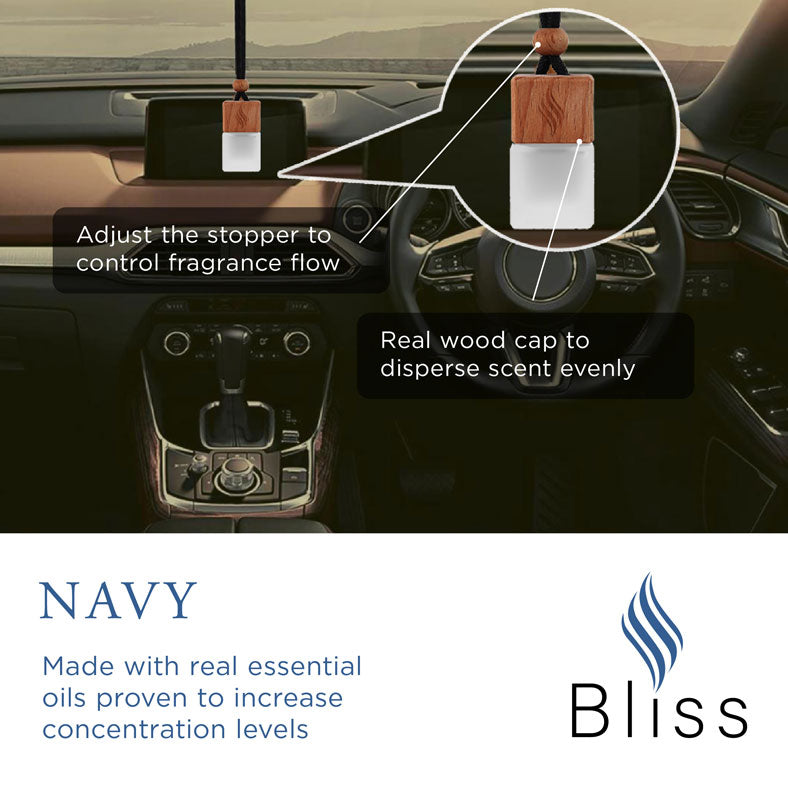 Black Car Air Freshener for Men Strong Car Scents by Bliss